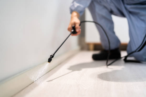 Licensed Pest Control service in Belhaven, NC - Show Me Pest Control