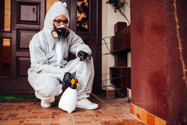 Reliable Ant Control contractor in Belhaven, NC by Show Me Pest Control